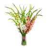 kytice gladiol
